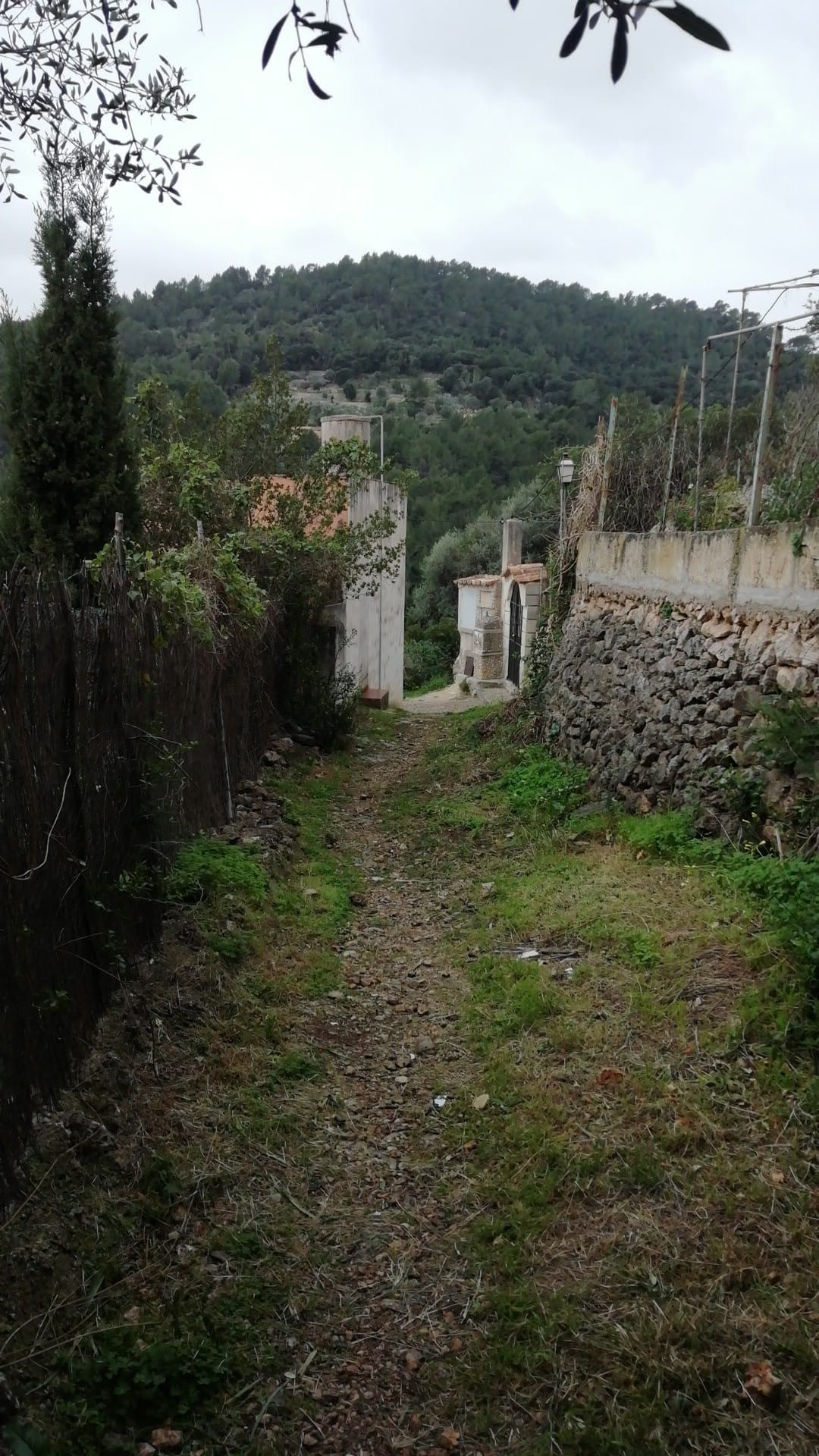 camí 