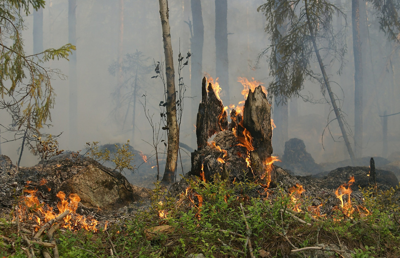 MESURES PREVENIR FOC