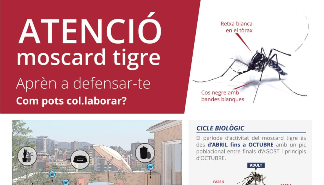 moscard