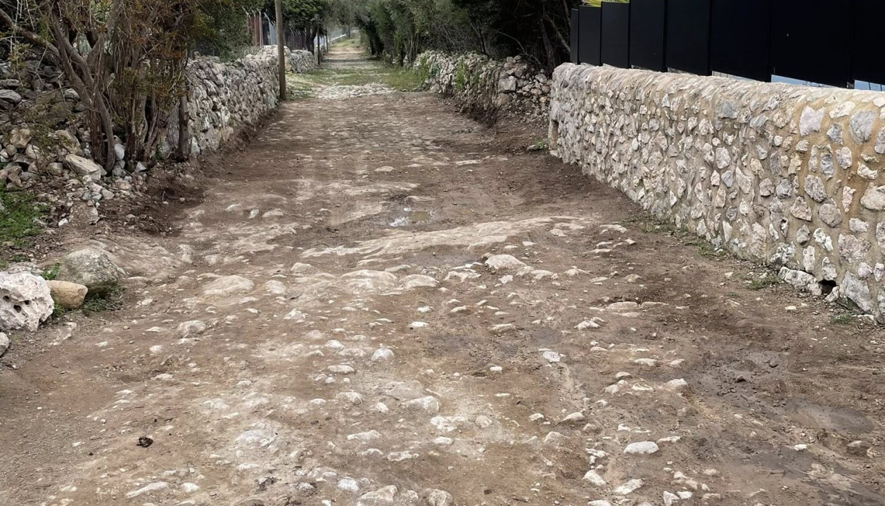 camí de Massanella a Caimari